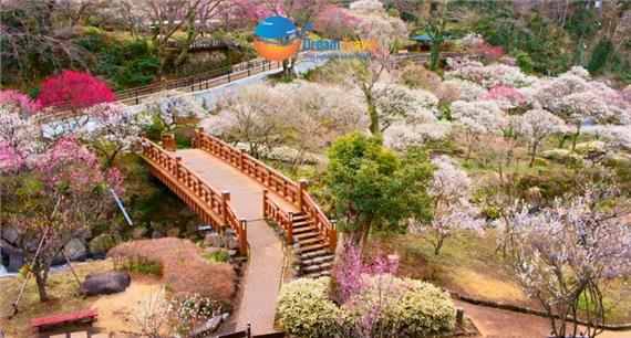 [HCM] Tour Hành Trình Vàng Nhật Bản Mùa Đông Đón Tết Bính Ngọ